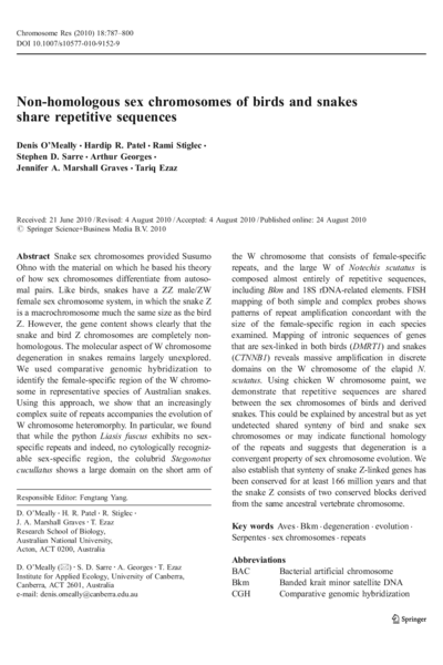 Non-homologous sex chromosomes of birds and snakes share repetitive sequences