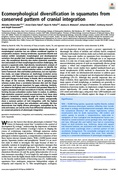 Ecomorphological diversification in squamates from conserved pattern of cranial integration