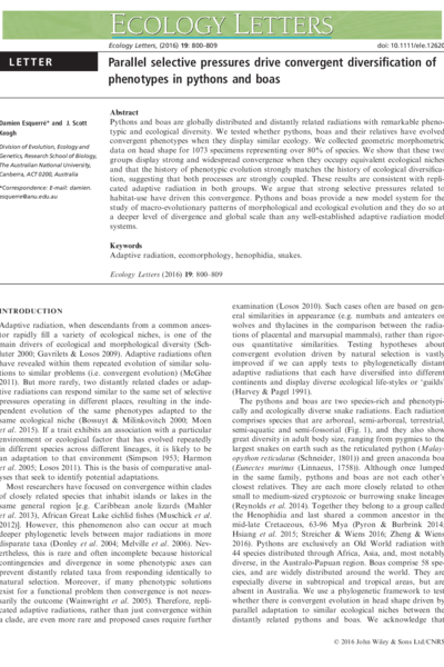 Parallel selective pressures drive convergent diversification of phenotypes in pythons and boas