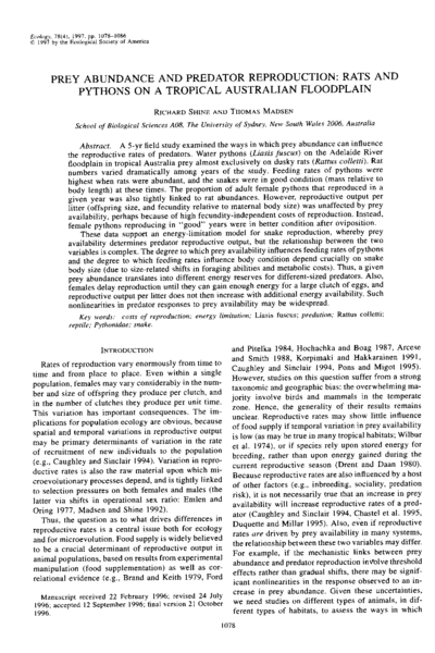 Prey abundance and predator reproduction: rats and pythons on a tropical Australian floodplain