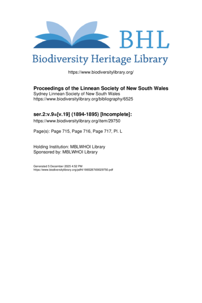 Re-description of Aspidites ramsayi, Macleay, E. R. Waite 1895