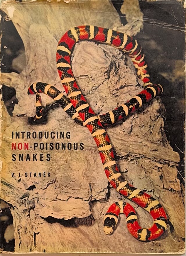 Introducing Non-poisonous Snakes