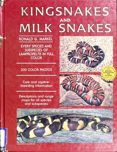 Kingsnakes and Milk Snakes
