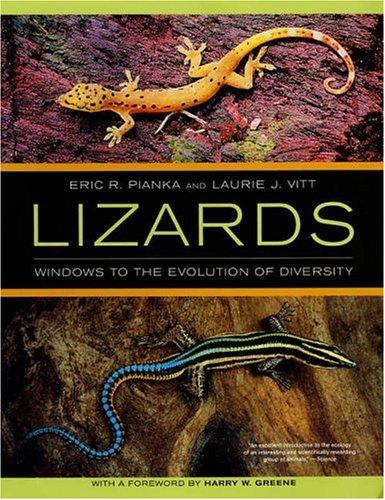 Lizards