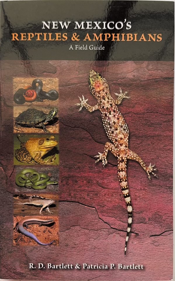 New Mexico's Reptiles and Amphibians