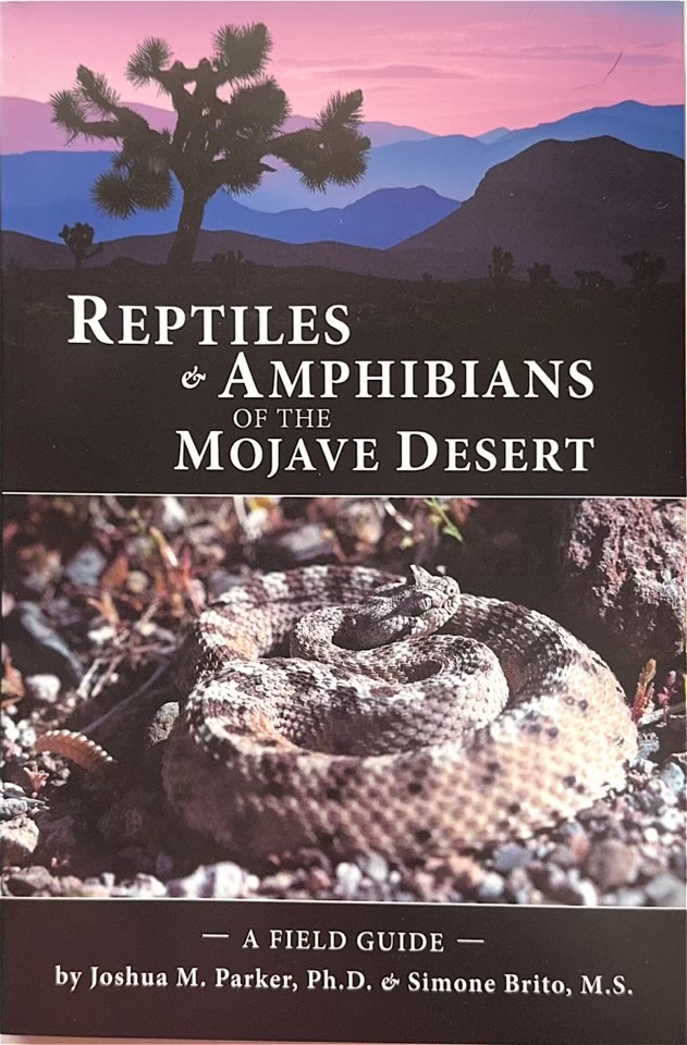 Reptiles and Amphibians of the Mojave Desert