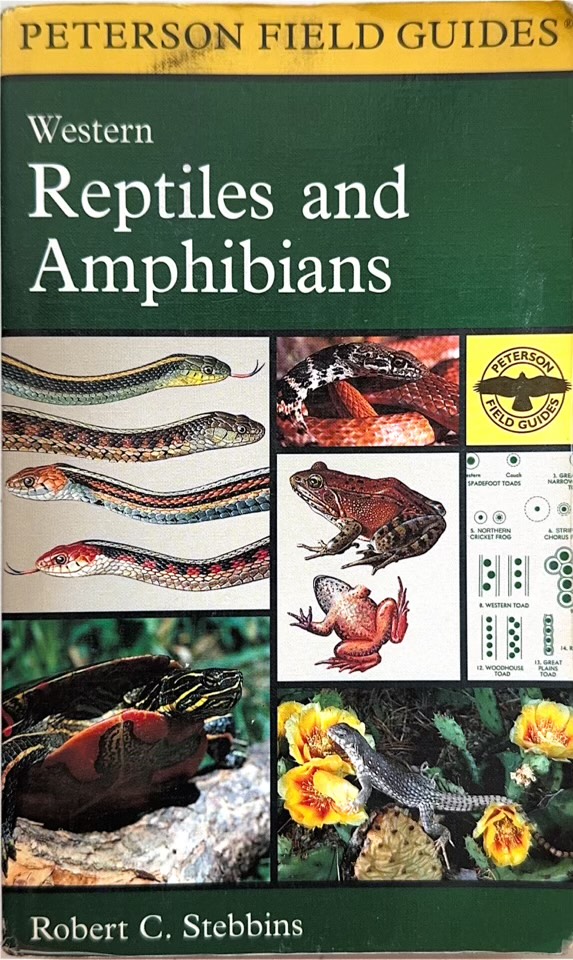A Field Guide to Western Reptiles and Amphibians