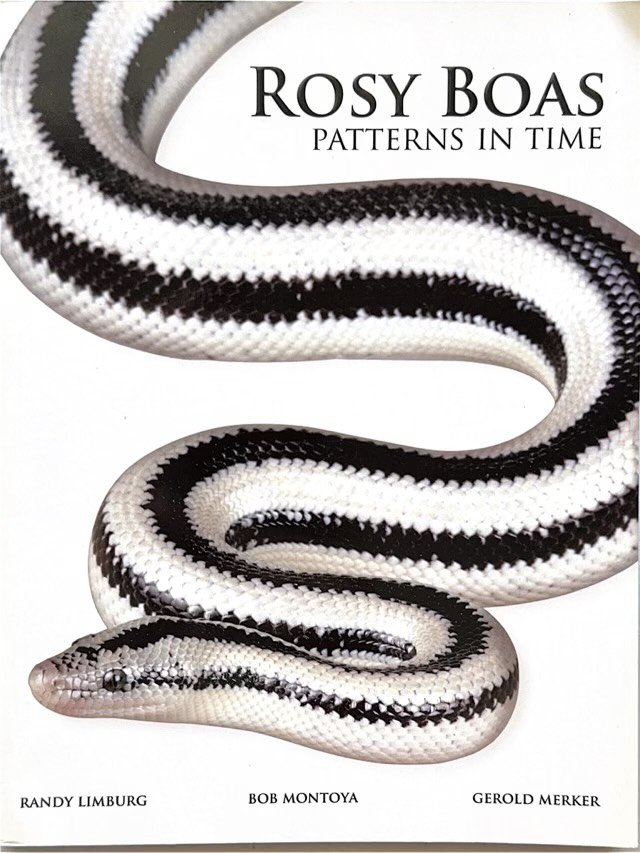 Rosy Boas, Patterns in Time