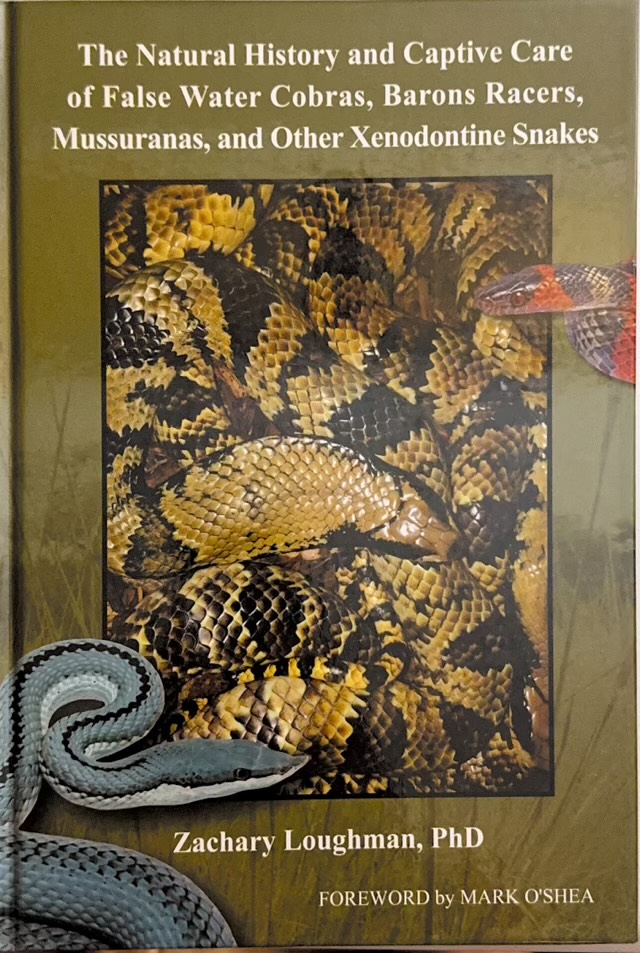 South American Xenodontids