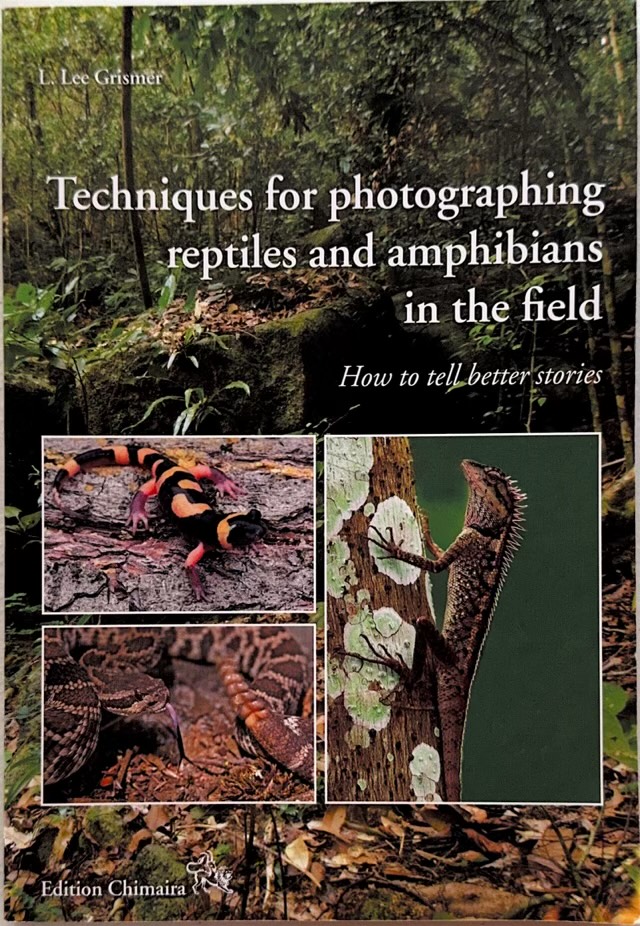 Techniques for photographing reptiles and amphibians in the field