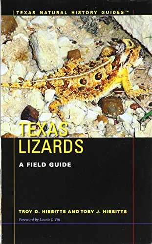 Texas Lizards