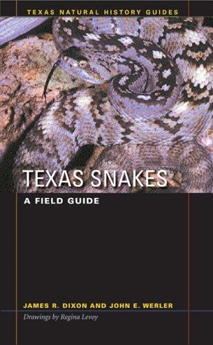 Texas Snakes