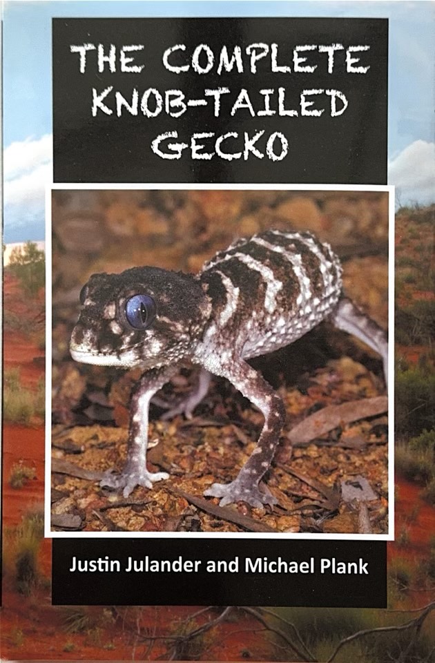 The Complete Knob-Tailed Gecko
