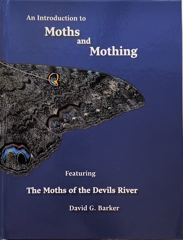 An introduction to moths and mothing