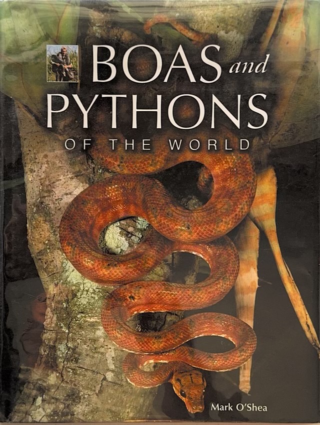 Boas and Pythons of the World