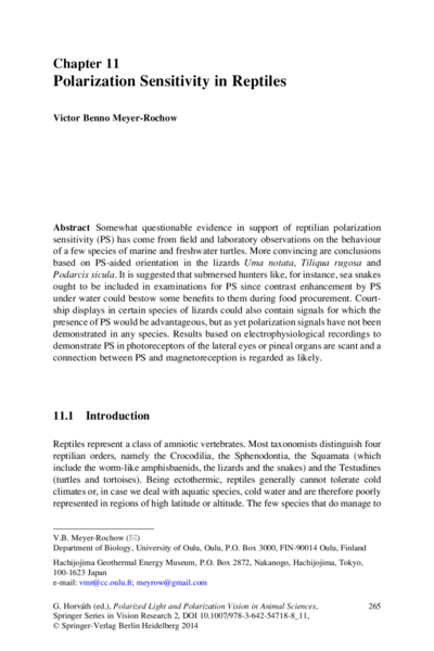 Polarization Sensitivity in Reptiles