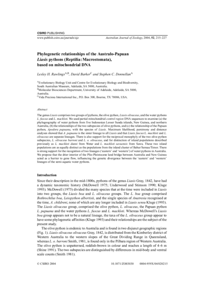Phylogenetic relationships of the Australo-Papuan Liasis pythons (Reptilia : Macrostomata), based on mitochondrial DNA