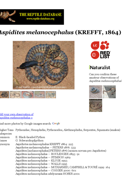 Aspidites melanocephalus | The Reptile Database