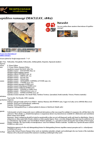 Aspidites ramsayi | The Reptile Database