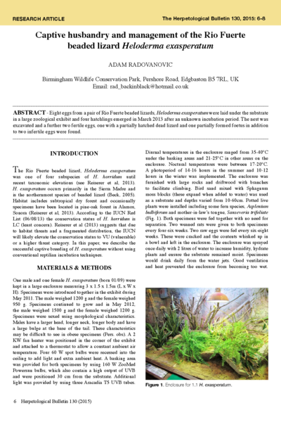 Captive husbandry and management of the Rio Fuerte beaded lizard - Heloderma exasperatum