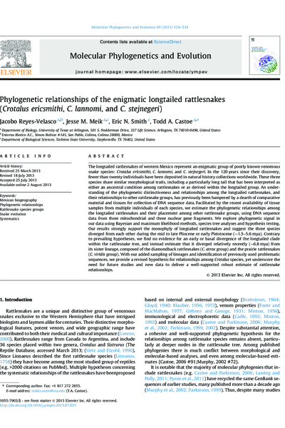 Phylogenetic relationships of the enigmatic longtailed rattlesnakes (Crotalus ericsmithi, C. lannomi, and C. stejnegeri)