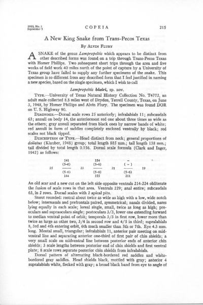 A New King Snake from Trans-Pecos Texas