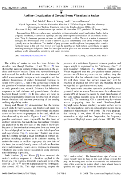Auditory Localization of Ground-Borne Vibrations in Snakes
