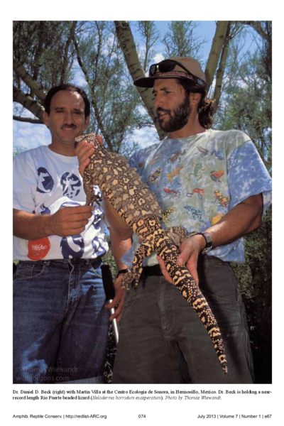 Taxonomic reassessment and conservation status of the beaded lizard, Heloderma horridum (Squamata: Helodermatidae)