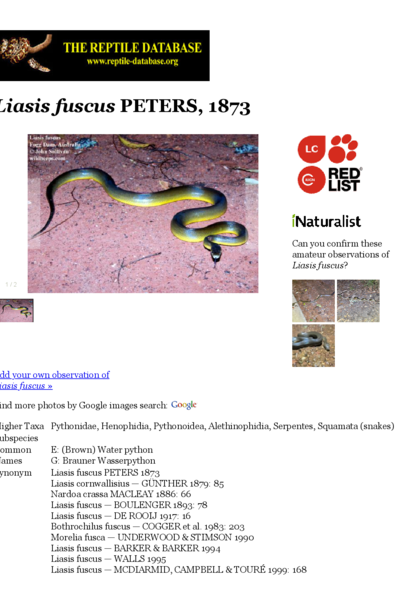 Liasis fuscus | The Reptile Database