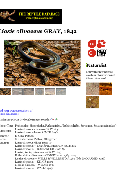 Liasis olivaceus | The Reptile Database