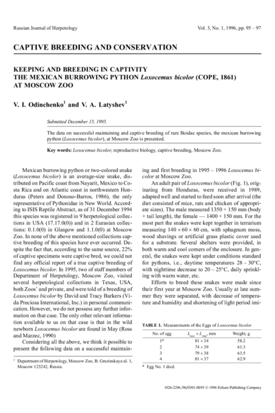 Keeping and breeding in captivity the Mexican burrowing python Loxocemus bicolor (cope, 1861) at Moscow Zoo