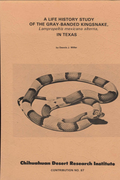 A life history study of the Gray-banded Kingsnake, Lampropeltis mexicana alterna, in Texas