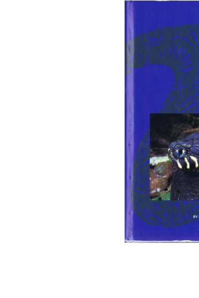 A Guide to the Snakes of Papua New Guinea