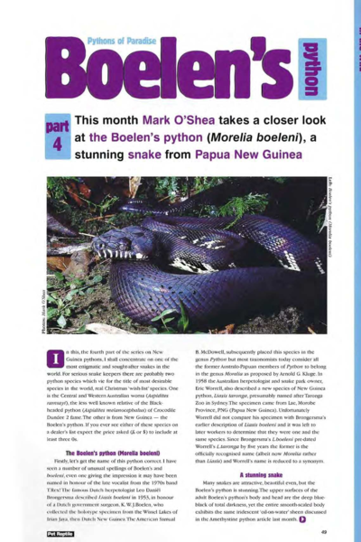 Pythons of Paradise - Boelen's Python