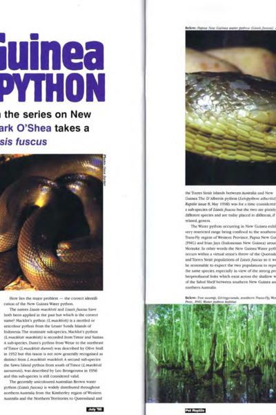 Pythons of Paradise - New Guinea Water Python