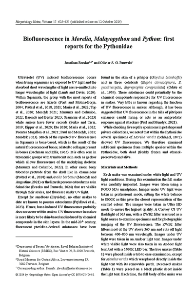 Biofluorescence in Morelia, Malayopython and Python: first reports for the Pythonidae