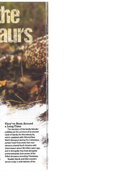 Realm of the Monstersaurs