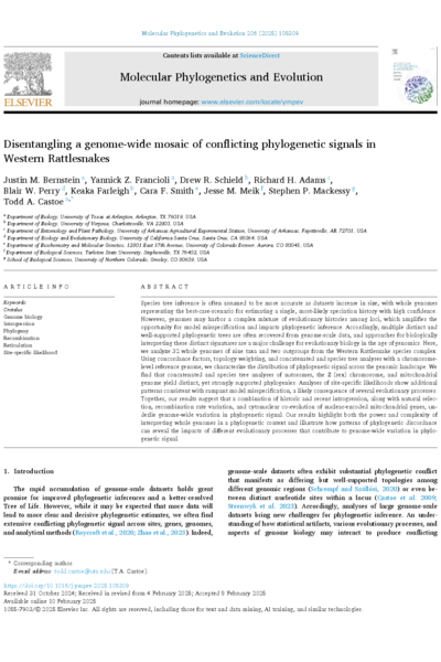 Disentangling a genome-wide mosaic of conflicting phylogenetic signals in Western Rattlesnakes