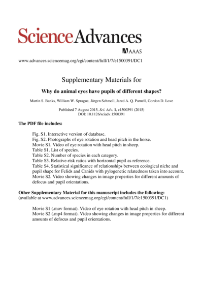 Why do animal eyes have pupils of different shapes?