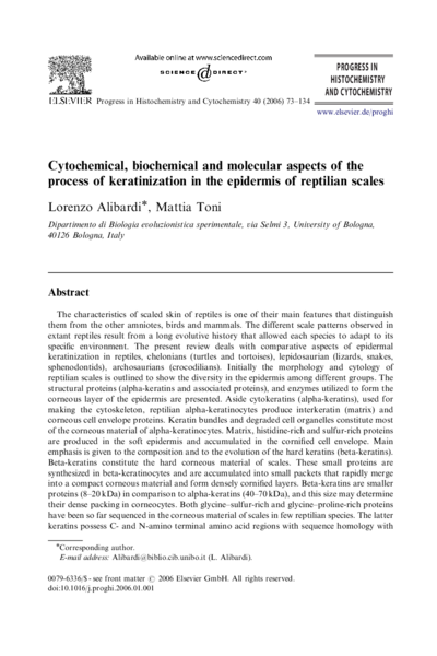 Cytochemical, biochemical and molecular aspects of the process of keratinization in the epidermis of reptilian scales
