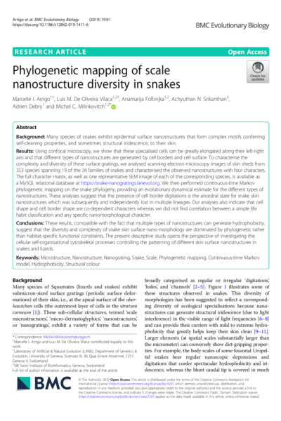 Phylogenetic mapping of scale nanostructure diversity in snakes
