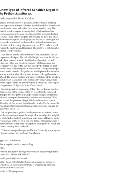 A New Type of Infrared Sensitive Organ in the Python Aspidites sp.