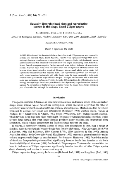 Sexually dimorphic head sizes and reproductive success in the sleepy lizard Tiliqua rugosa