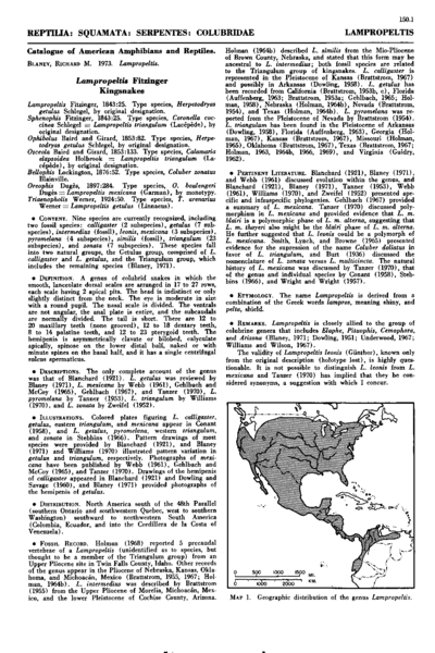 Lampropeltis Fitzinger Kingsnakes