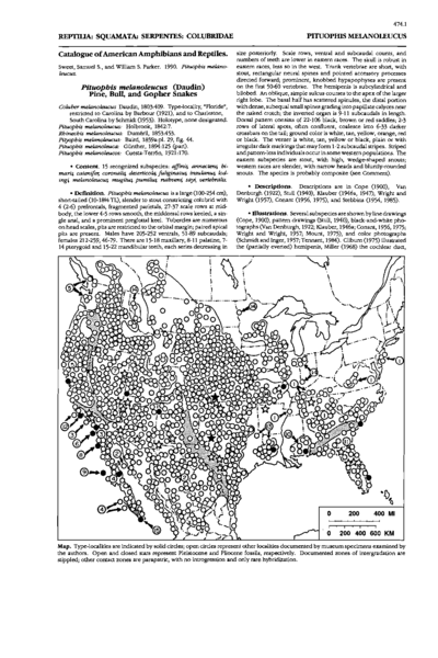 Catalog of American Amphibians and Reptiles - Pituophis Melanoleucus