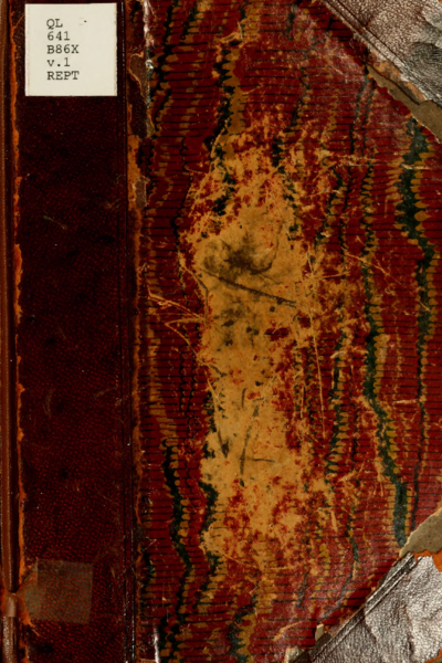 Catalogue of the snakes in the British Museum (Natural History) 1893 - full