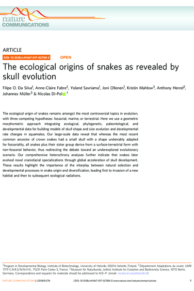 The ecological origins of snakes as revealed by skull evolution