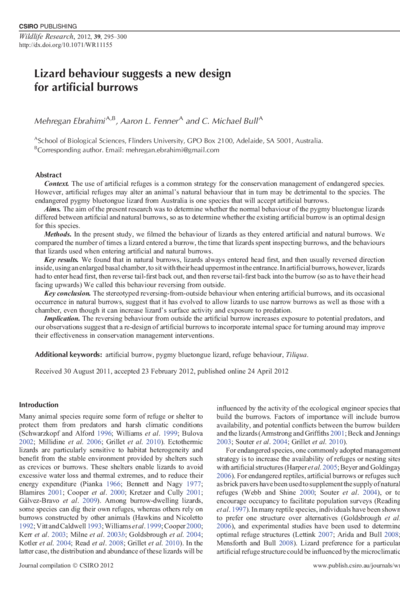 Lizard behaviour suggests a new design for artificial burrows