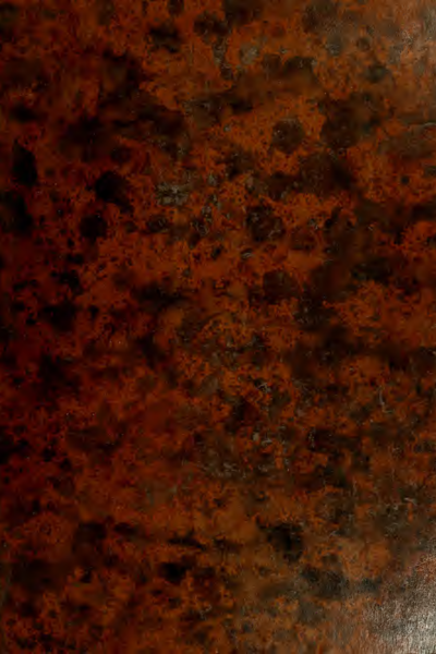 An Essay Towards a Natural History of Serpents in Two Parts