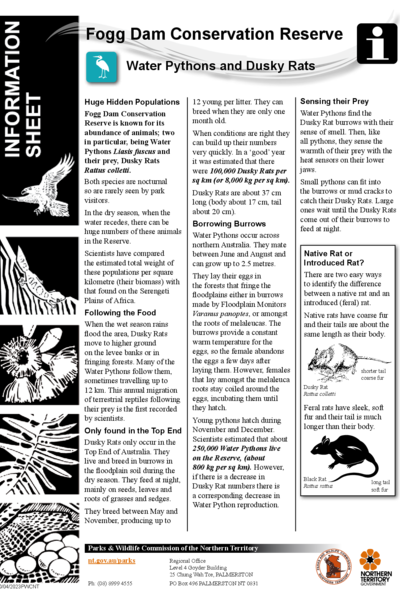 Fogg Dam Rats and Pythons information sheet